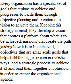 Week 2 Strategy Report_Strategic Management Capstone.