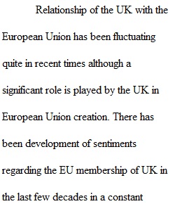 European Union Case Analysis