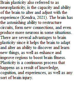 Assignment 2.3 – How Neuroplasticity Affects Perception and Performance