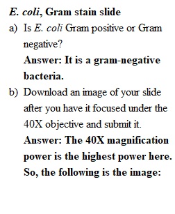 BIO121_GramStainVirtualMicroscopeLab_SP21