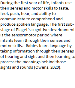 Unit 2.2 DB Cognitive Development