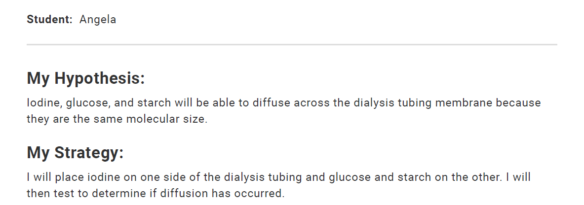 Diffusion Lab