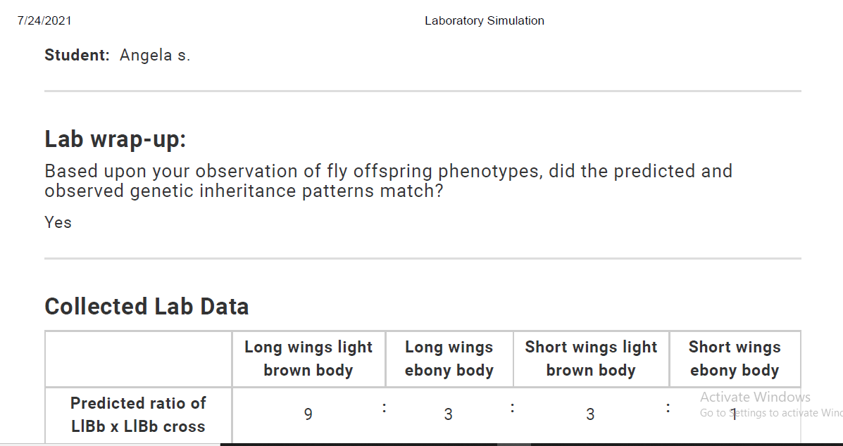 Dihybrid fruit fly cross