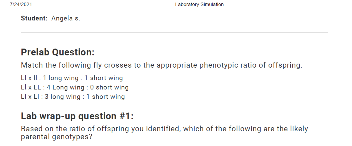 Monohybrid fruit fly cross